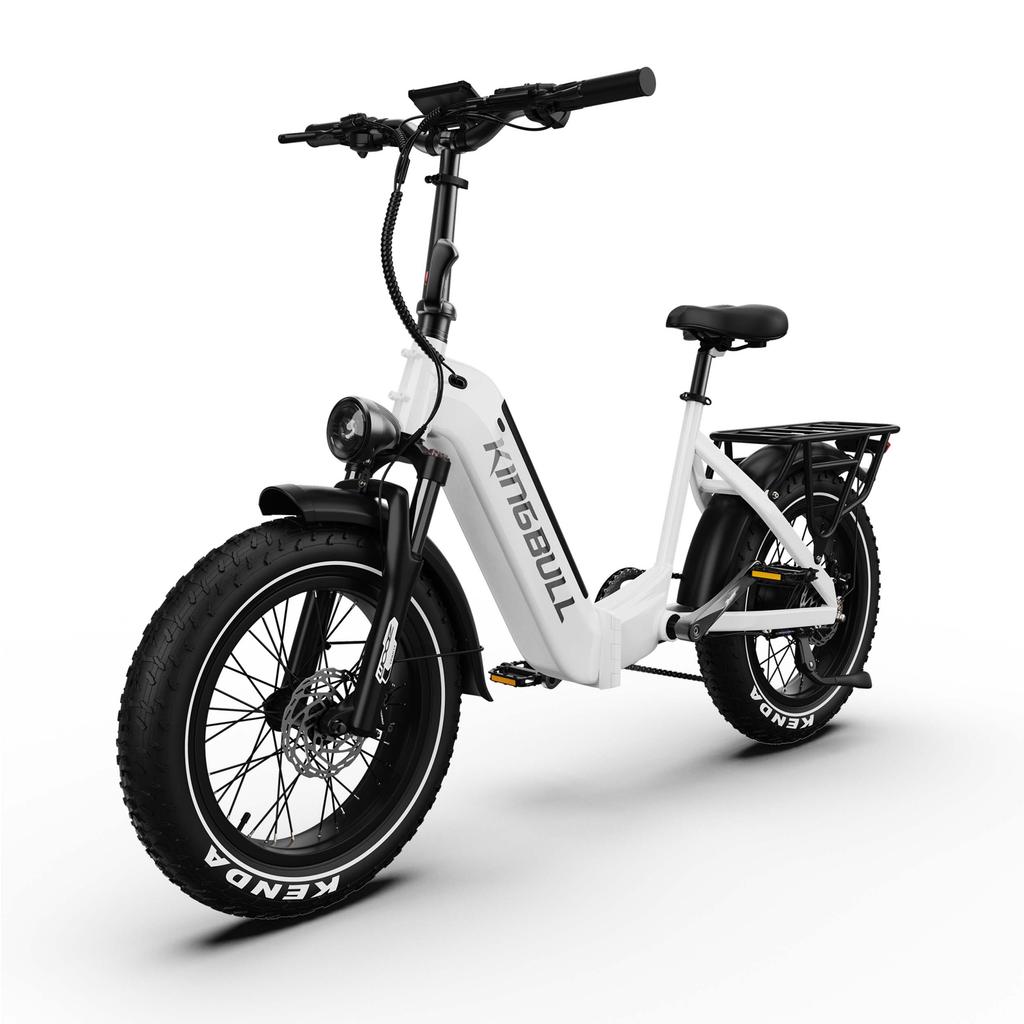 Maxturn Verve Elektrofahrrad für Erwachsene 250W Motor 48V 13Ah Akku 20 Zoll Geländereifen Elektrofahrrad