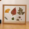 Transparent Double-Sided Glass Photo Frame for Dried Flowers and Leaves
