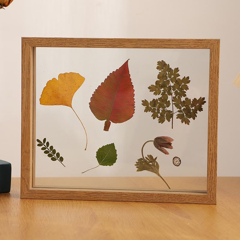 Transparent Double-Sided Glass Photo Frame for Dried Flowers and Leaves