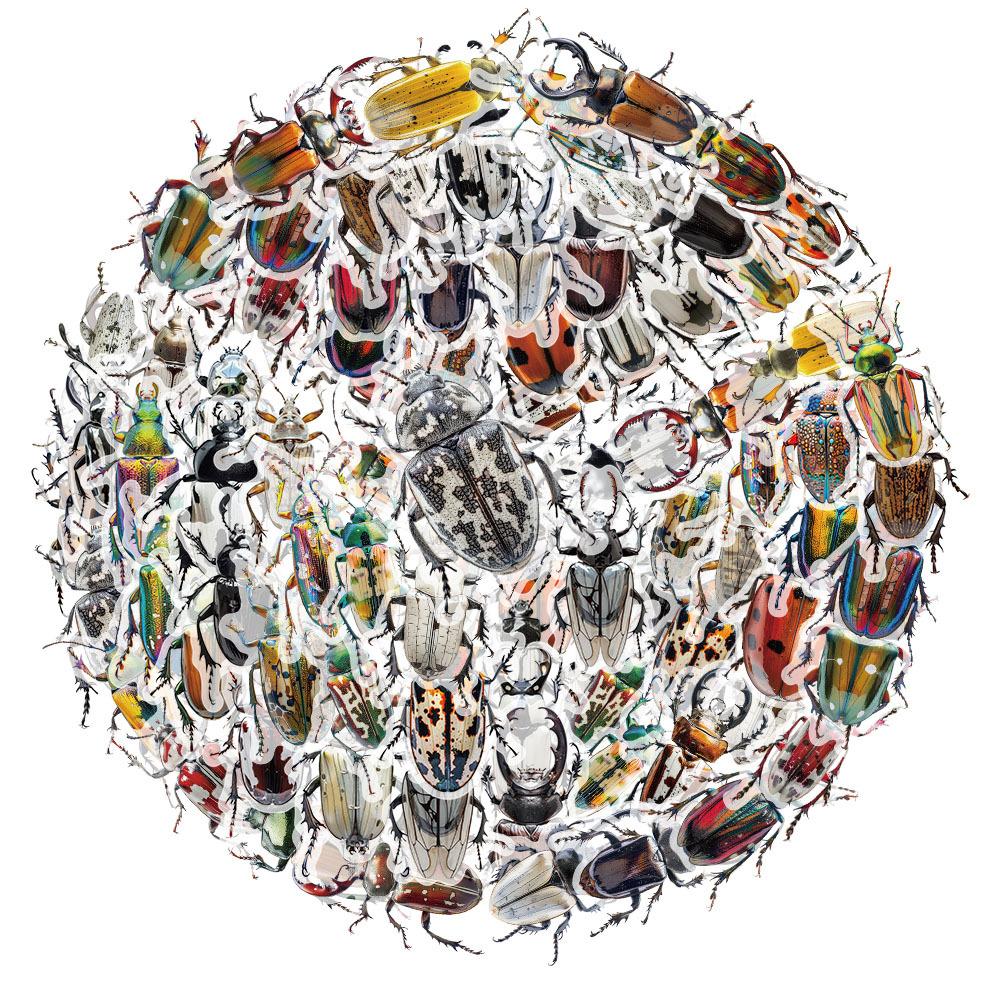 10/30/50pcs Transparent Insect Graffiti Stickers Realistic Beetle Decals DIY Laptop Journal Notebook Reward Cool Cartoon Sticker
