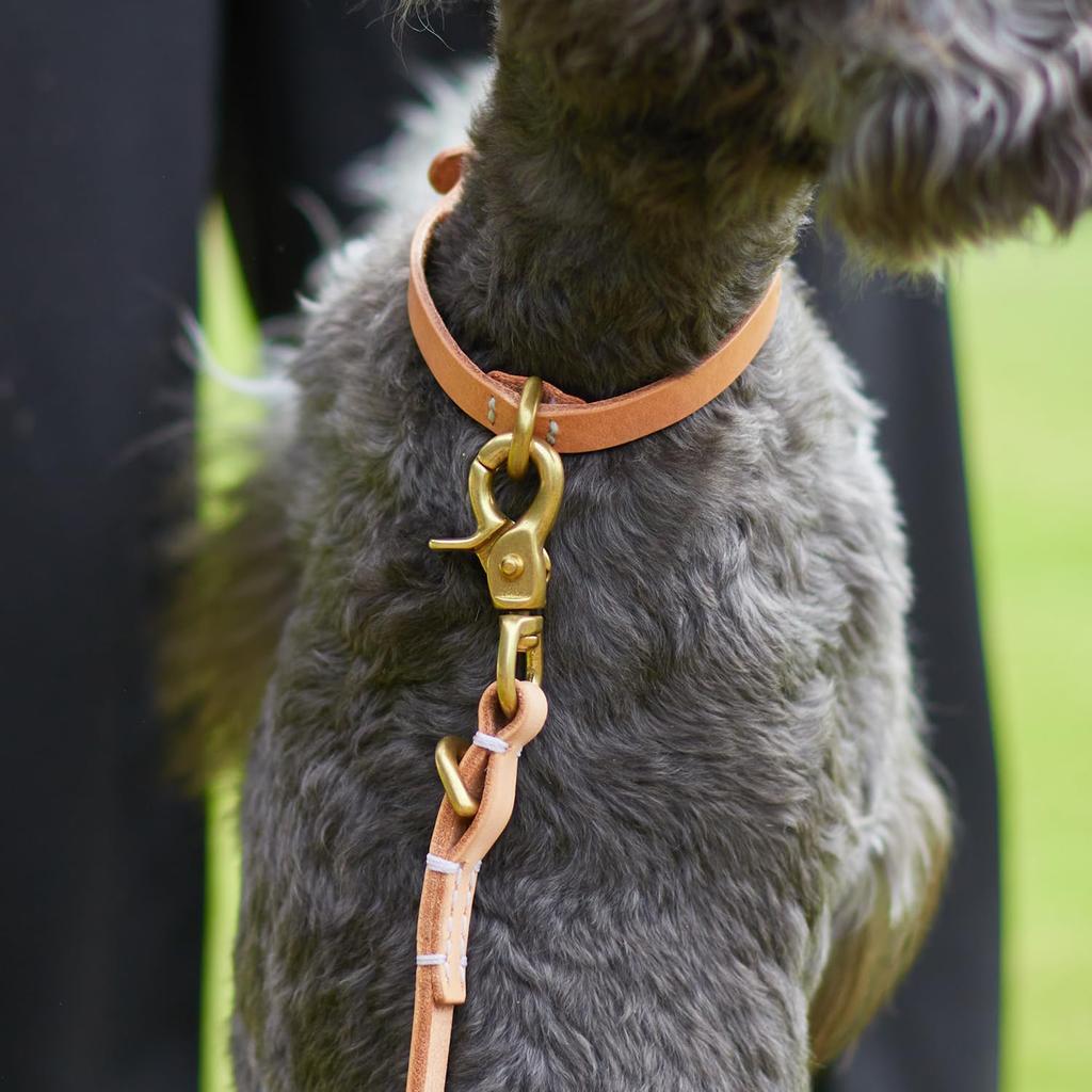 We Original All Leather Collar Natural GOOD MANNERS DOG SERIES - (S) /