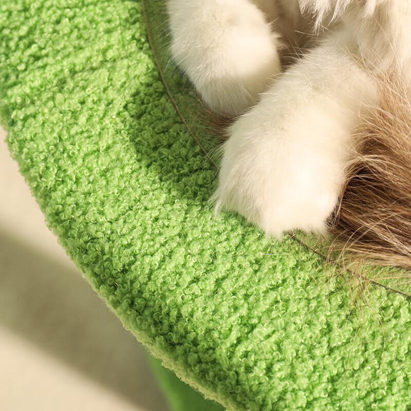 Cactus Cat Tree & Scratcher with Space Capsule