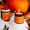 Mr. pumpkin -świeca sojowa dyniowa korzenna imbirowa - yush - 120ml
