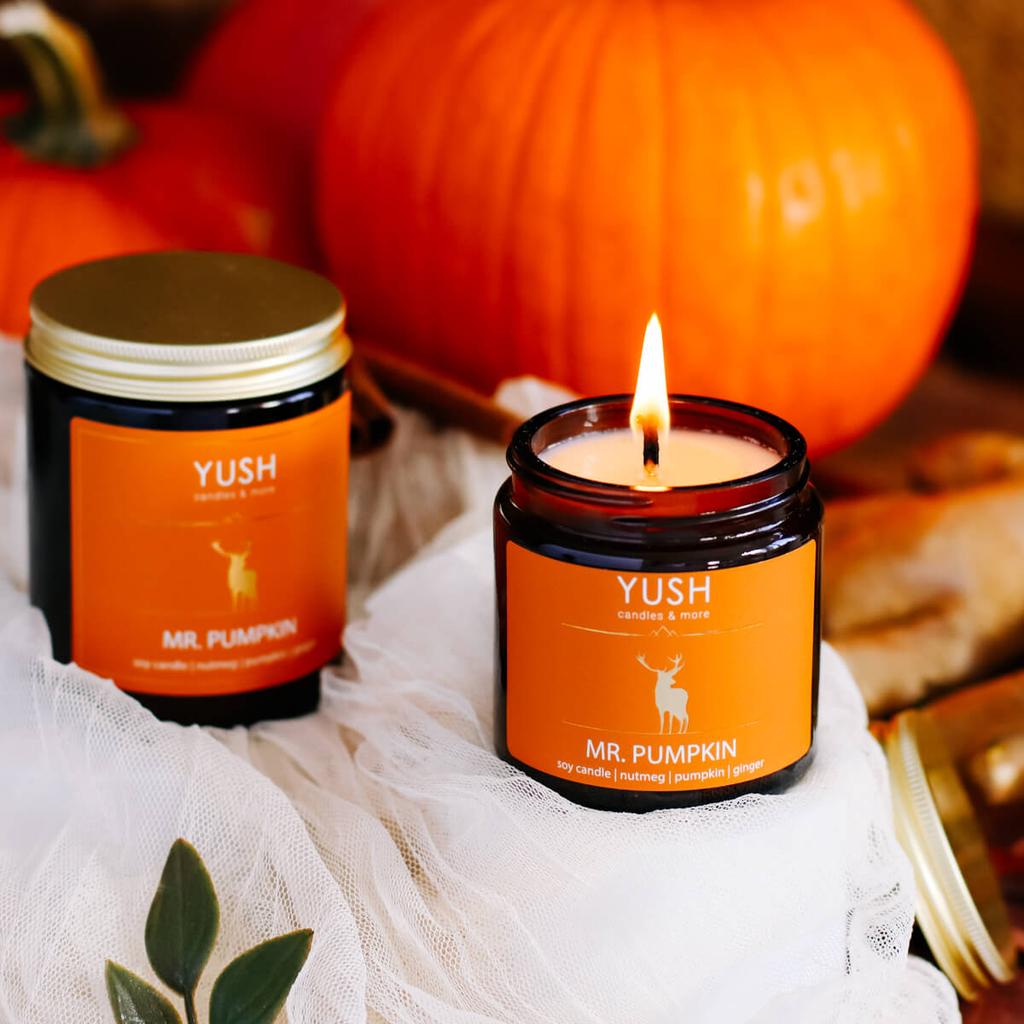 Mr. pumpkin -świeca sojowa dyniowa korzenna imbirowa - yush - 120ml