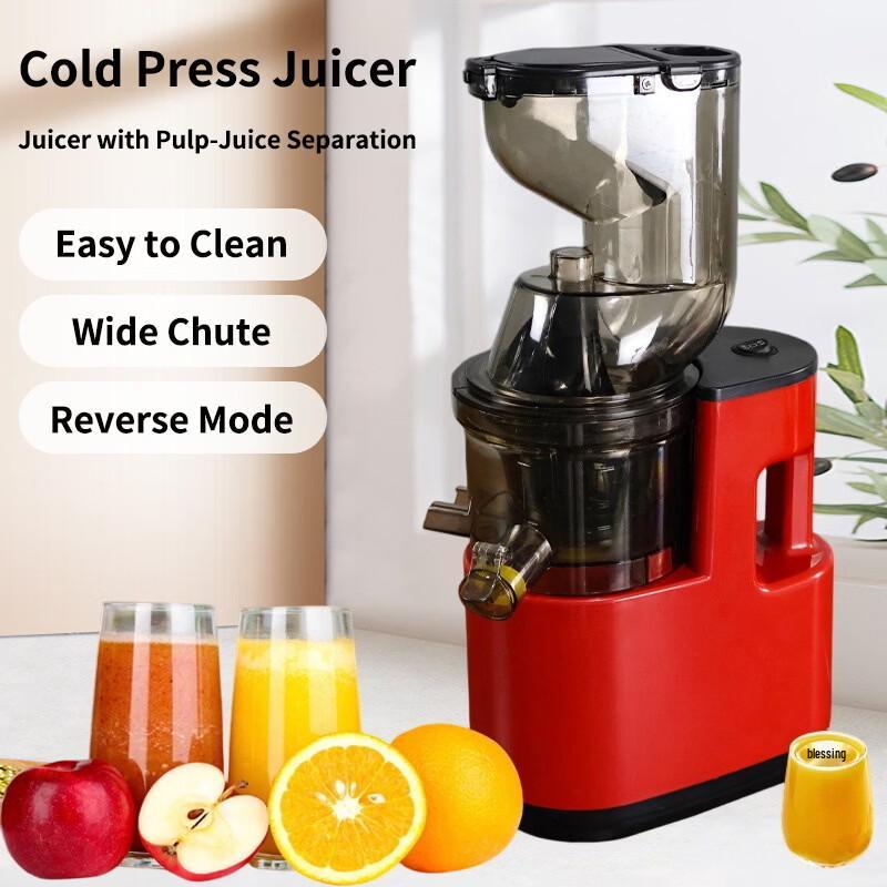 OLOEY Slow Masticating Fruit and Vegetable Juicer