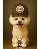 Nola Venus Line Ball Cap - Brown