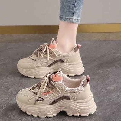 Casual Sports Shoes 2026 Autumn Women's Dad Shoes Women's Spring Mesh Breathable Height Increasing Women's Shoes
