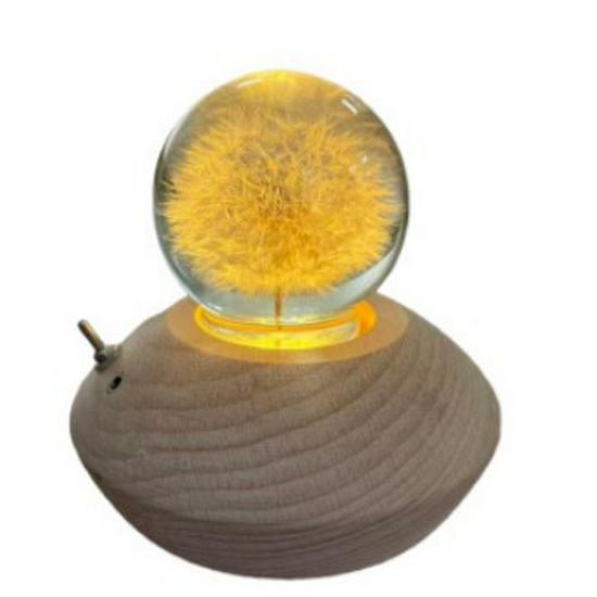 Crystal Ball Music Box Night Light: Multi-Pattern Warm Decor & Gift