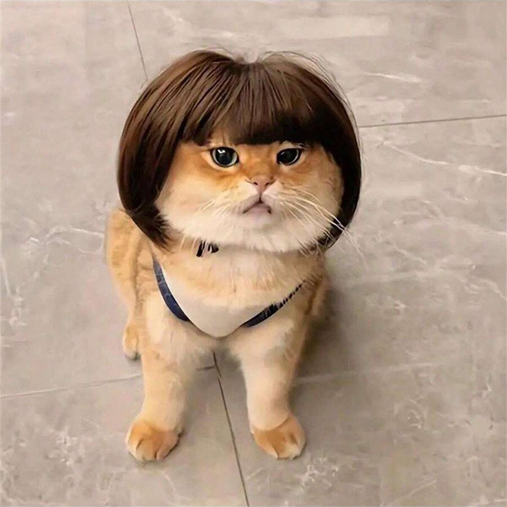 Funny Pet Cosplay Wig Short Dog Costume Wig Pet Decorations Cats Hair Hat Costumes Head Accessories Halloowen Christmas Supplies