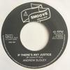 7inch Record ANDREW SLOLEY  If Theres Any Justice SME004 Smoove Records UK Reggae Ska  Dub Used