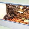 Amphibians Heater Heat Lamp Reptile Basking Light UVA Light Halogen Bulb