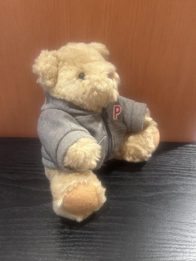 [USED] shaly bear teddy bear detachable hoodie