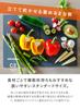CB JAPAN Cutting Standard Size 257 X 365 257 X 180 Dark Dishwasher Can Be Folded Upright for Drying Board, [Unfolded Mm, Folded Mm] Antibacterial,