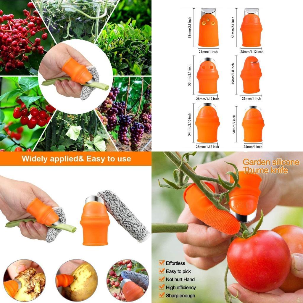 

Thumb Cutters with Finger Guards Finger Cradles for Harvesting Vegetables Fruits X3UC China Mainland