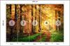 Photomural Forest Autumn Colours Washable Fleece 450x300