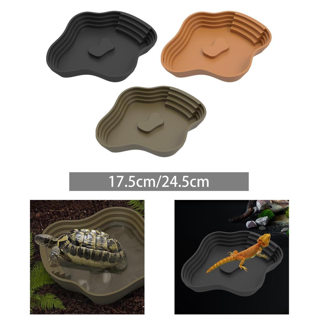 Reptile pool with feed station and water container for turtles
