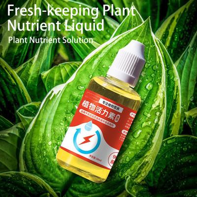 50/100/150/200ML Nutriente para Plantas Promueve la Germinación Floración Rápida Trasplante Rápido Enraizamiento Solución Nutriente para Plantas Suplemento Herramienta de Jardín