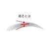 KANEBO Eyebrow Shade Pencil [Refill] EP2 0.1g