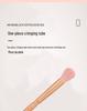 5-Piece Travel Makeup Brush Set with Mirror Box - Includes Foundation and Eye Detail Brushes