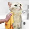8Pcs Ultra-Absorbent Cleaning Cloth Multi-Purpose Dishwashing Cloth Car Cleaning Towel  Car Bathroom