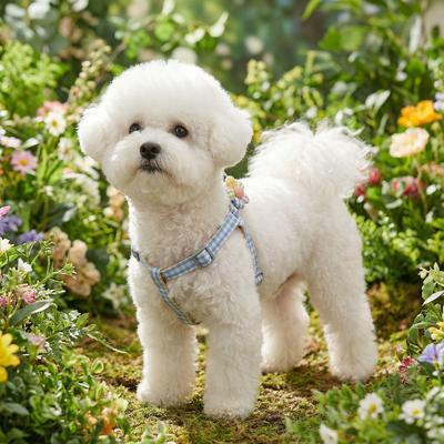 Ademend Hondentuigje en Lijn met Madeliefjesprint voor Kleine tot Middelgrote Honden