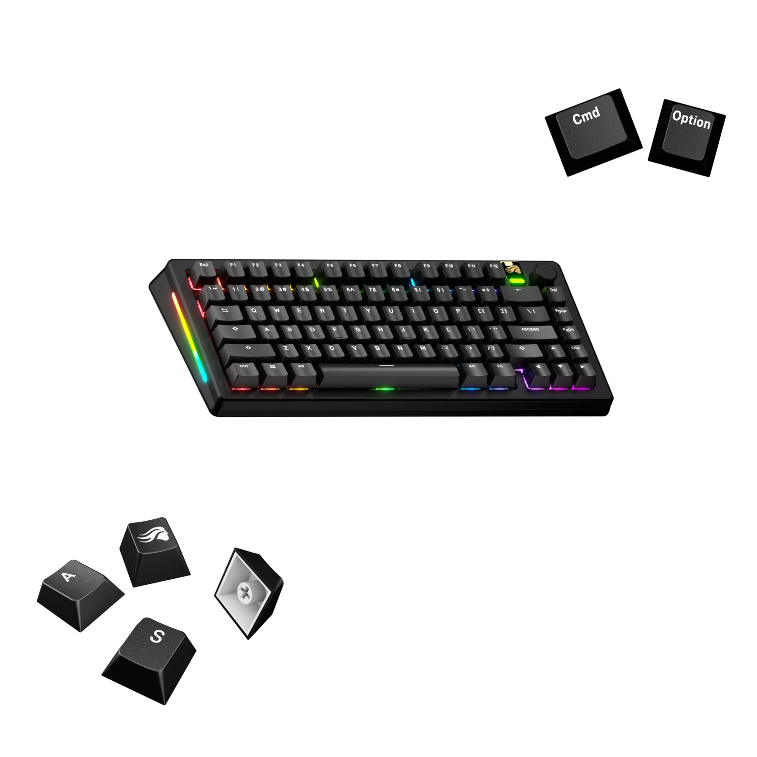 

Glorious GPBT Basics Keycaps Classic Black - US - Retail GLO-KB-ACC-KC-GPBT-BA-CBLK-US KB0857