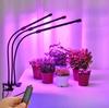 Fernbedienung LED Pflanzenwachstum Mehrkopf-Clip Pflanzenlampe Blumen-Timing Vollspektrum Tisch Sukkulenten Fülllicht