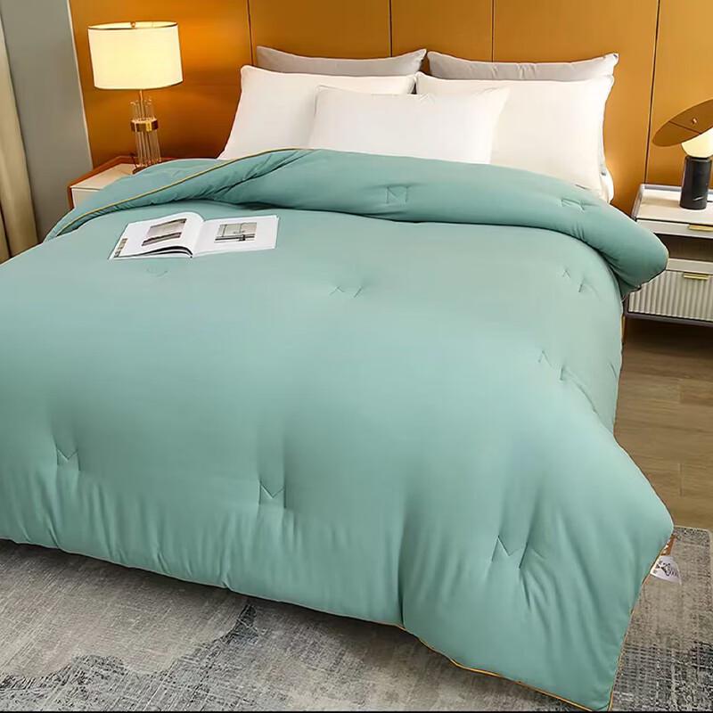Fang Wang Skin-Friendly Breathable Soybean Fiber Quilt