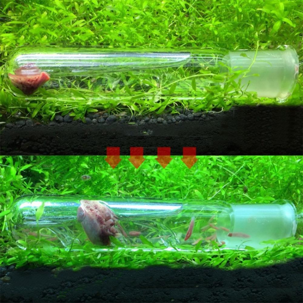 Dwarf Shrimp Clear Aquatic Cleaner Pest Catch Trap Planaria Trap Aquarium Worm Trap Leech Catcher