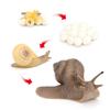 Realistic Kids Toys Praying Mantis Toy Cycle Mantis Figurine Life Cycle Figures Snail Growth Cycle