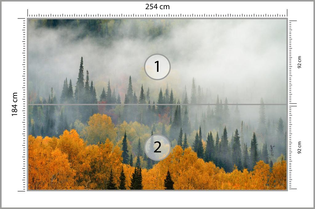 Photomural Fog Over Autumn Forest Washable Fleece 254x184