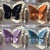 Soft Plush Butterfly Pillow Lace Edge Princess Pillow Aesthetic Decor Bow Cushion  Sofa