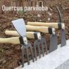Zhi Zheng Multi-functional Garden Weeding Tools