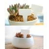 200pcs Plant Plastic Labels Garden Supplies Nursery Seedling Markers DIY Garden Decorating Tools Flower Pot Name Tags
