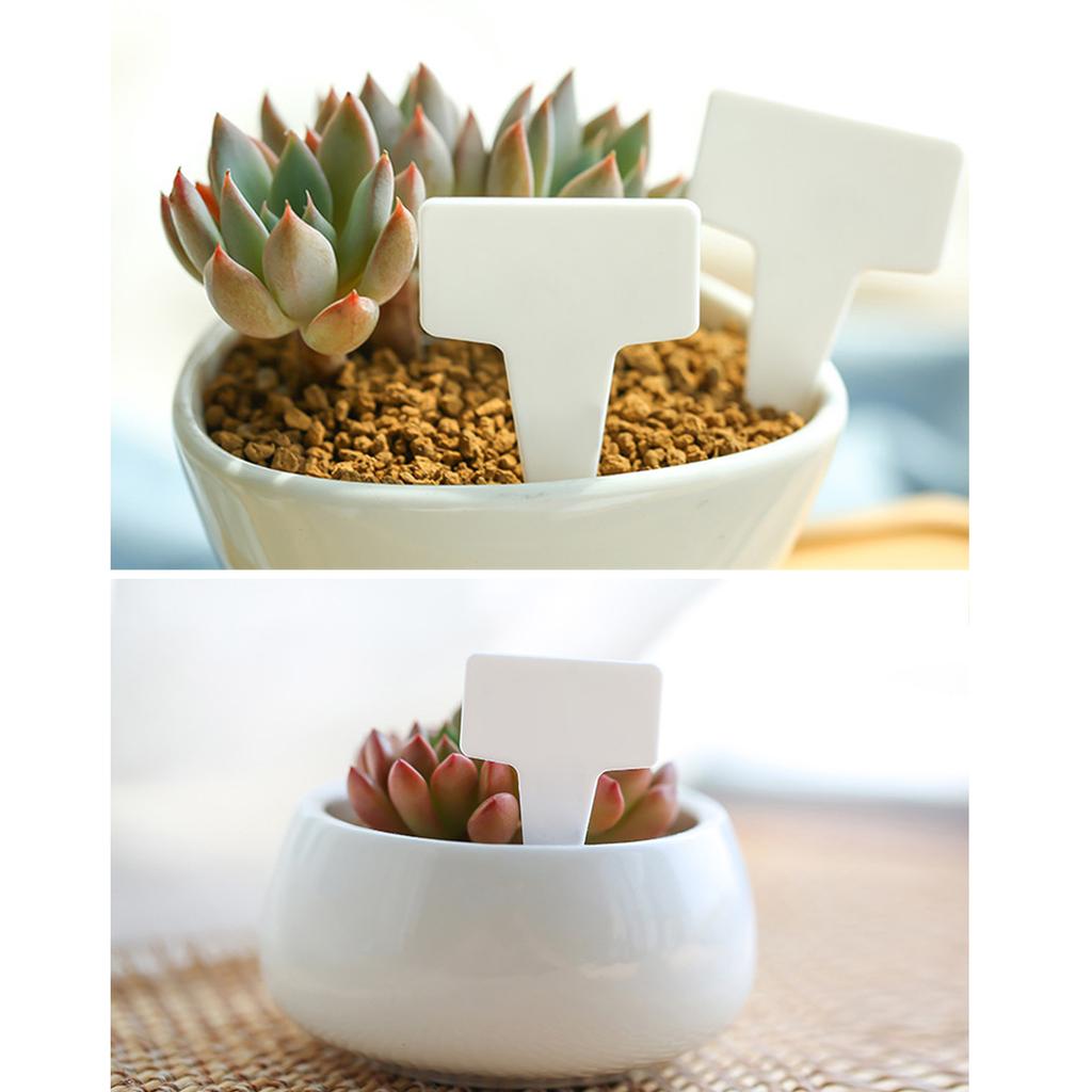 200pcs Plant Plastic Labels Garden Supplies Nursery Seedling Markers DIY Garden Decorating Tools Flower Pot Name Tags
