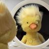 Cute Fried Duck Plush Toy Doll Breathable Duckling Doll Hairstyle Duck Birthday Gift for Boyfriend and Girlfriend