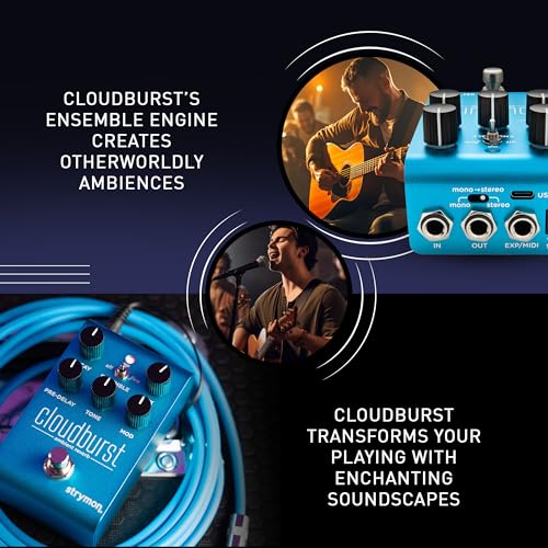 Strymon/Cloudburst Cloudburst Reverb Strymon
