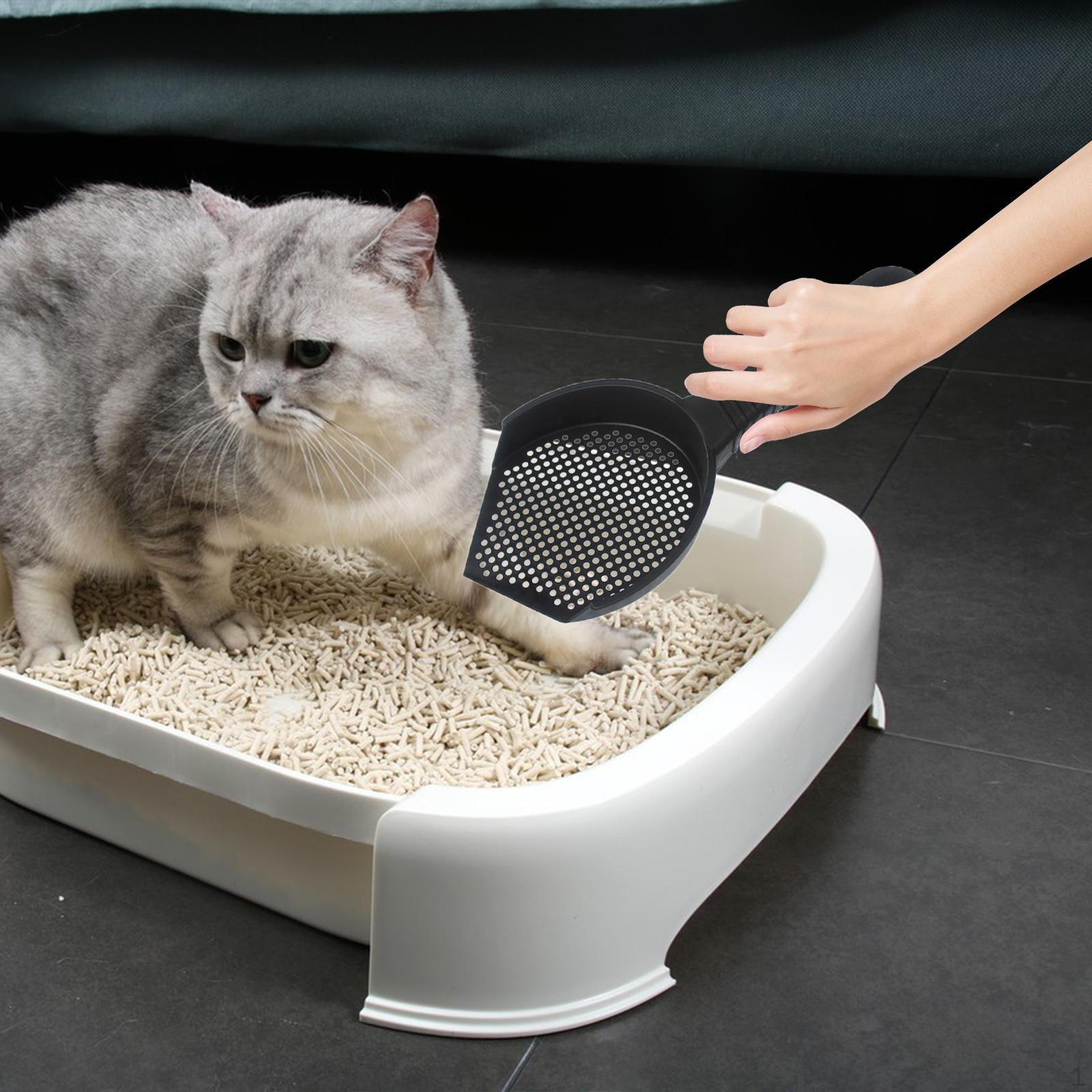 

Cat Scooper Hollow Out Spoon Sifting Pet Cleaning Tools Spade Sand for Rabbit S