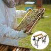 Professional Beekeeping Tool Stainless Steel Frame Holder With Comfortable Wood Handle For Beekeepers Apiary Maintenance