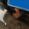 Abschlepphaken-Schutz 3D-gedeckter Capybara-Kugel-Deckel, Dekorative Anhänger-Staubkappe für 50mm Anhängerkupplung, Abschleppschutz, Wohnmobil-LKW-Zubehör Universal