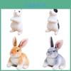 Poppen en knuffels – Dieren knuffels
