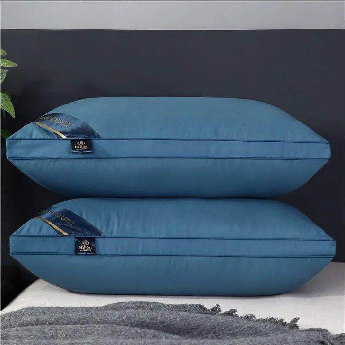 Hilton Daunenalternative Kissen - Hotelstil 48x74cm, Paar für Zuhause oder als Geschenk