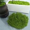 30/100G Artificial Green Moss DIY Crafts Indoor Plants Fairy Gardens Table Centerpieces Fish Tanks Microlandscape Decorative Fake Moss