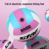 Star Size 5 Competition Training Volleyball