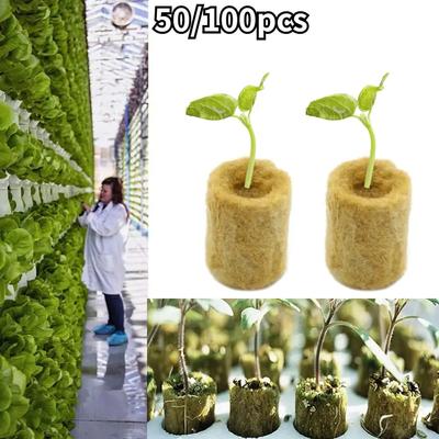 50/100 pièces Bouchons de croissance pour semis Culture hors-sol Bouchon de laine de roche Plantation hydroponique Croissance Tubes de culture agricole à l'eau