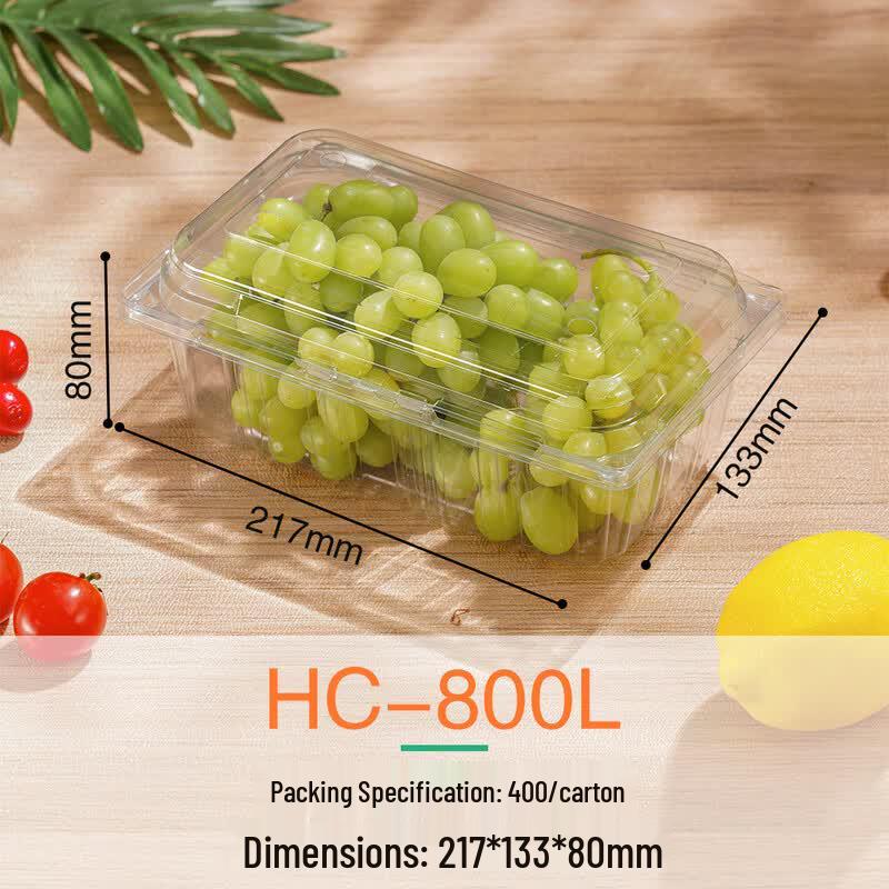 Clear Rectangular Disposable Food Containers with Lids