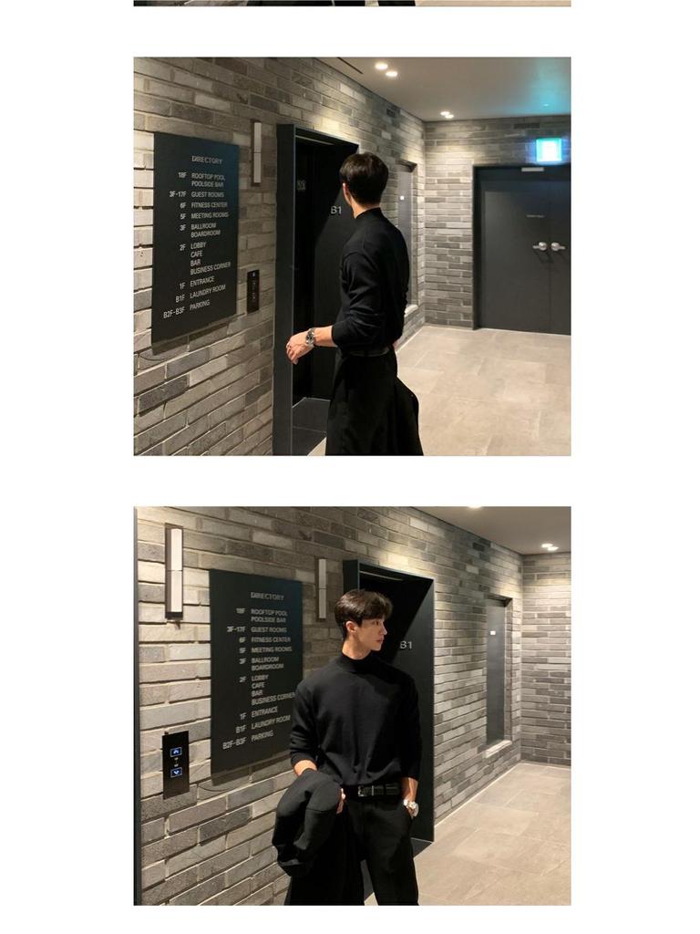 Specht 2025 Herren Rollkragenpullover – Unifarben gestrickt, Langarm, Herbst/Winter-Wärme, Hongkong-Stil