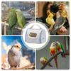 Bird Carrier Travel Cage Portable Parrot Transport Box with Window Bird Bag Carrier for Parakeet Hiking Camping Conure Cockatiel