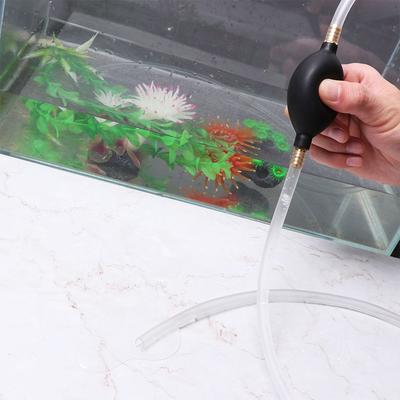 Peces y mascotas acuáticas – Mantenimiento de acuario