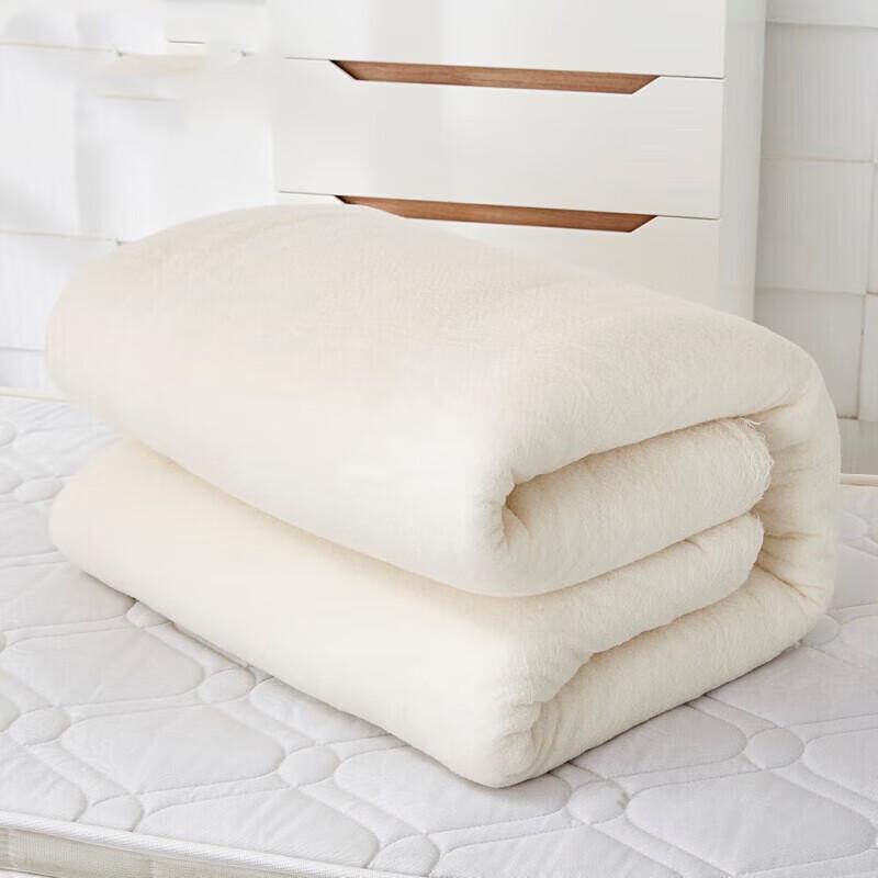 Jing Rui Zhi An Interior Hot Melt Cotton Quilt One Size